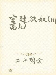 宫廷欲奴(np高h)