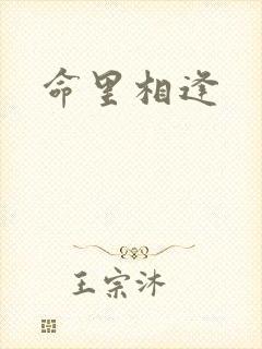 命里相逢封面