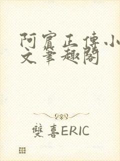 阿宾正传小说全文笔趣阁