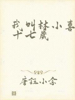 我叫林小喜今年十七岁