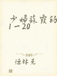 少妇苏霞的沉沦1一20