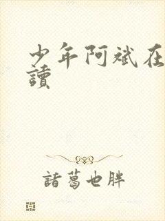 少年阿斌在线阅读封面