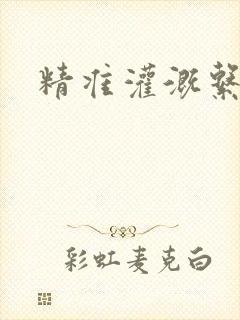 精准灌溉系统封面