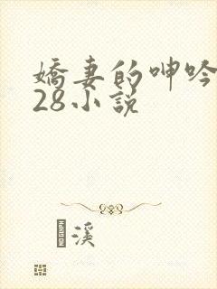 娇妻的呻吟1—28小说