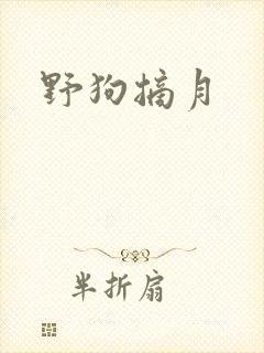 野狗摘月