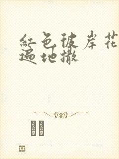 红色彼岸花花瓣遍地撒封面