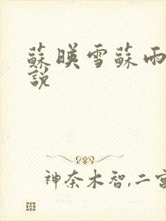 苏映雪苏雨柔小说