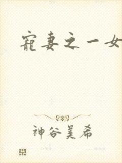 宠妻之一女二夫封面