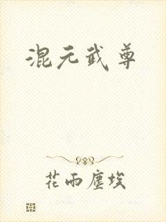 混元武尊封面