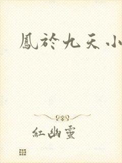 凤于九天小说