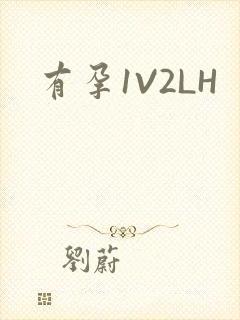 有孕1V2LH