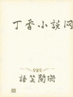 丁香小说网封面