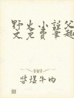 野火小说父女全文免费笔趣阁