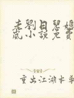 老刘日儿媳妇张岚小说免费阅读