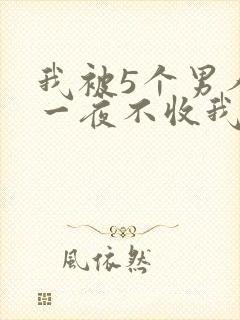 我被5个男人躁一夜不收我怎么办封面
