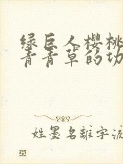 绿巨人樱桃荔枝青青草的功效封面