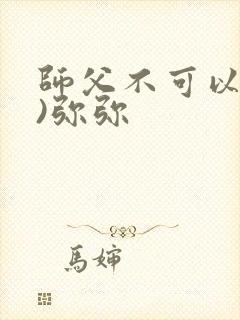 师父不可以(限)弥弥封面