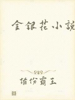 金银花小说乐可