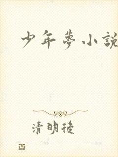 少年梦小说