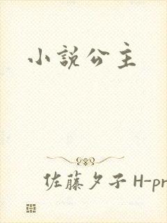 小说公主
