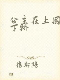 公主在上国师请下轿