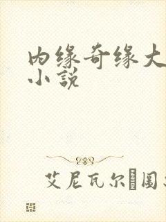 内缘奇缘大团圆小说封面