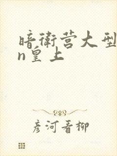 暗卫营大型hpn皇上封面