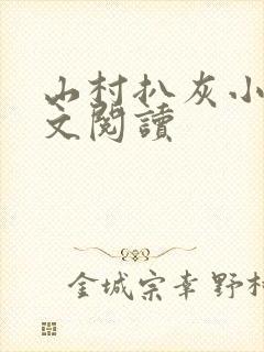 山村扒灰小说全文阅读封面