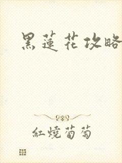 黑莲花攻略手册封面