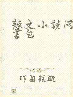 辣文小说网第二书包