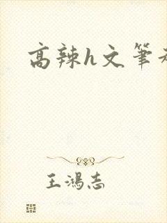 高辣h文笔趣阁