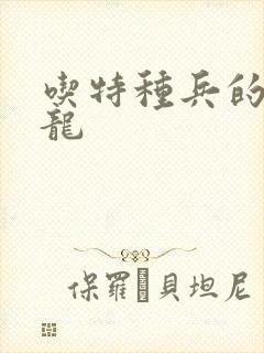 吃特种兵的大黑龙