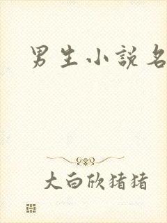 男生小说名字封面