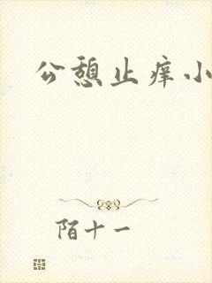 公憩止痒小说封面