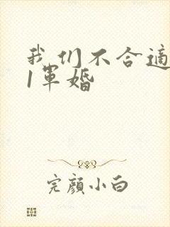 我们不合适1v1军婚