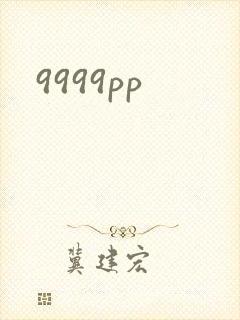 9999pp封面