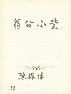 翁公小莹
