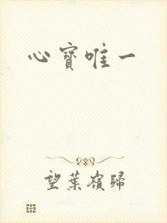 心宝唯一