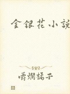 金银花小说乐可