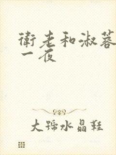 卫老和淑蓉销魂一夜