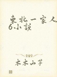 东北一家人1一6小说封面