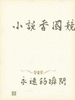 小说香国竞艳封面