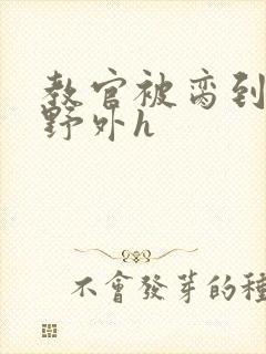 教官被脔到高潮野外h封面