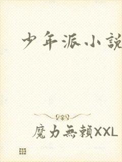 少年派小说封面