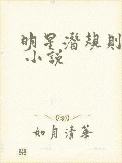 明星潜规则之皇 小说