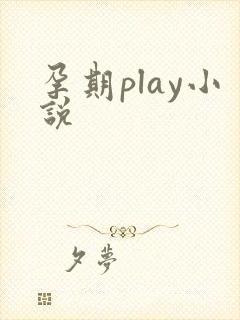 孕期play小说