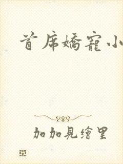 首席娇宠小情人