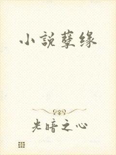 小说孽缘