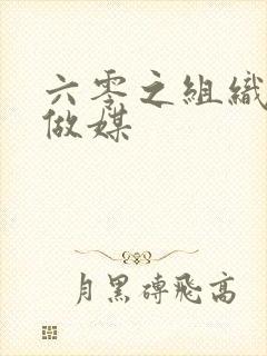 六零之组织给我做媒