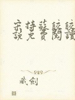 宋持苏皎皎的小说免费阅读封面